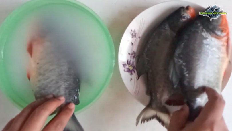 Pakai air cucian beras, begini trik ampuh hilangkan bau tanah pada ikan bawal
