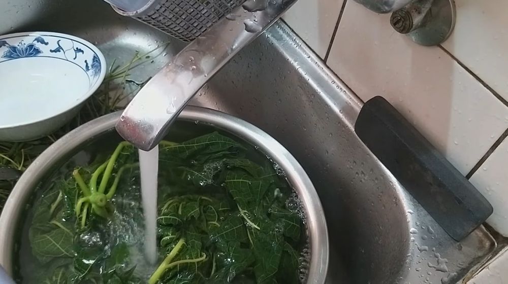 Cara menyimpan daun pepaya dan daun singkong rebus, awet hingga sebulan