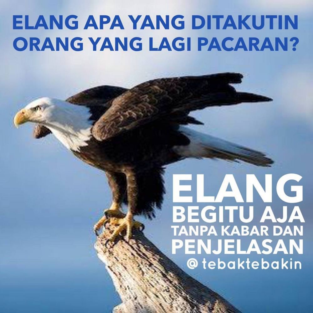 NGAKAK - 11 Tebak-tebakan lucu ujung-ujungnya curhatan terselubung ini bikin hati nyesek © 2022 brilio.net