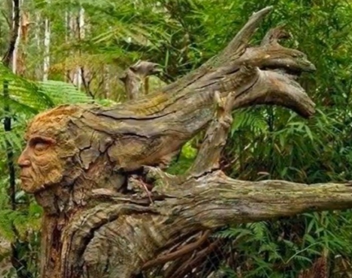 11 Penampakan lucu di batang pohon ini mirip anggota tubuh manusia