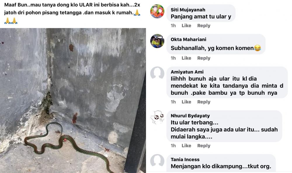 komentar emak-emak © Berbagai Sumber