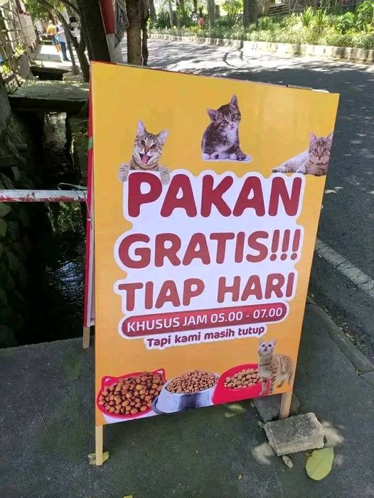 spanduk kocak pakan hewan © Berbagai Sumber spanduk kocak pakan hewan © Berbagai Sumber