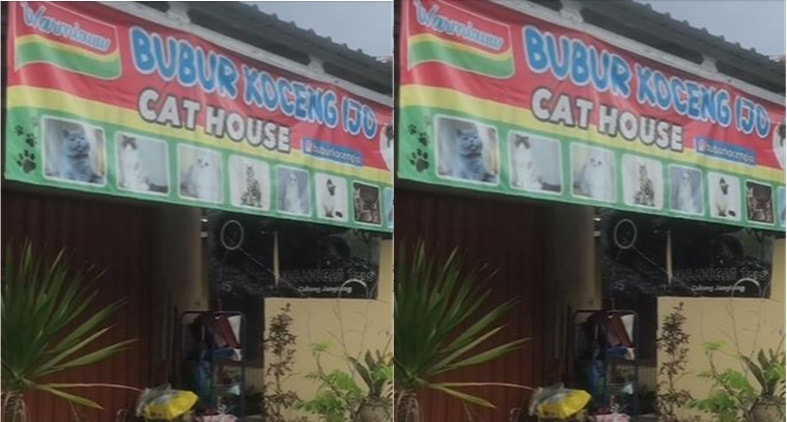 spanduk kocak pakan hewan © Berbagai Sumber