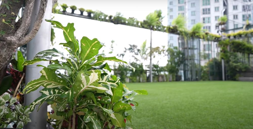 Potret markas cuan bisnis aplikasi saham milik Kaesang © 2022 brilio.net