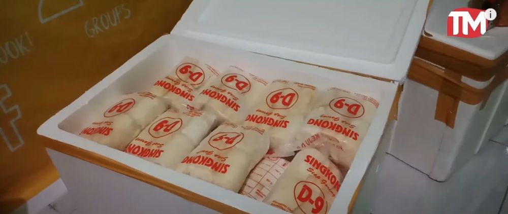 Cara aman menyimpan frozen food saat listrik mati, tetap segar lebih dari sehari