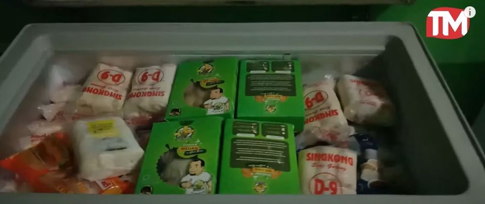 Cara aman menyimpan frozen food saat listrik mati, tetap segar lebih dari sehari