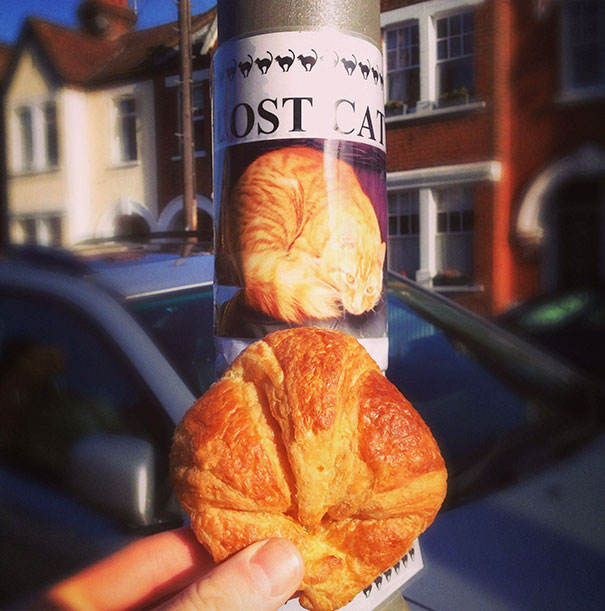 makanan ini mengecoh mata © berbagai sumber