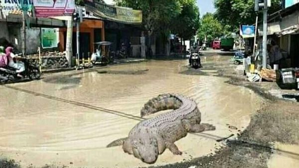 Editan penampakan jalan raya Berbagai sumber