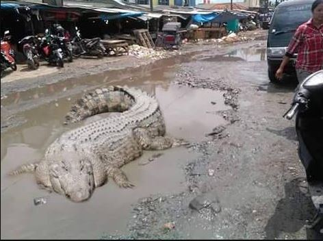 Editan penampakan jalan raya Berbagai sumber