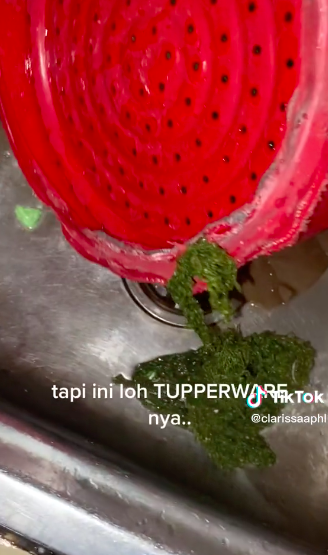 Momen apes wanita saat mengukus bakpao pakai tupperware, endingnya tragis