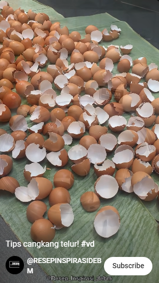 9 Manfaat ampas cangkang telur untuk dapur, bisa usir serangga