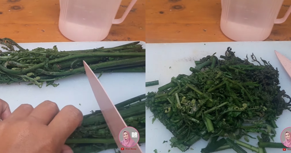 Trik jitu mencuci sayur pakis agar tidak bau langu dan rasa sepetnya hilang
