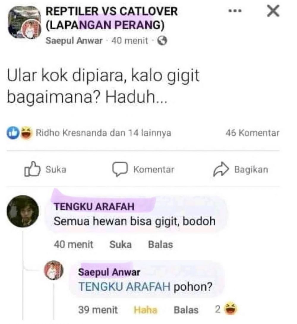 komentar warganet bikin skakmat © Berbagai Sumber