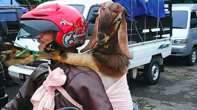 kelakuan nyeleneh pengendara motor Berbagai sumber kelakuan nyeleneh pengendara motor Berbagai sumber