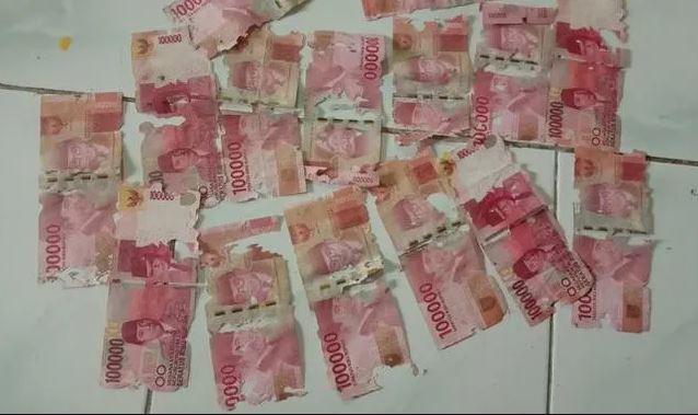 momen apes uang rusak karena rayap dan terbakar Berbagai sumber