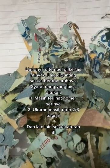 momen apes uang rusak karena rayap dan terbakar Berbagai sumber