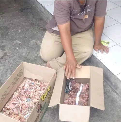 momen apes uang rusak karena rayap dan terbakar Berbagai sumber