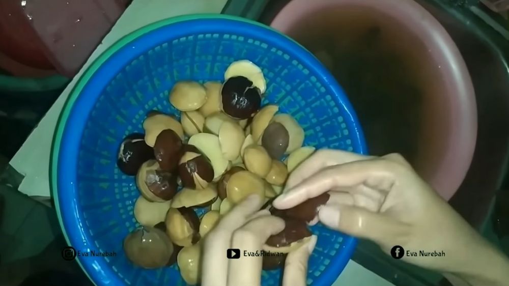 Trik merebus jengkol agar hemat gas dan cepat empuk, cuma butuh 12 menit