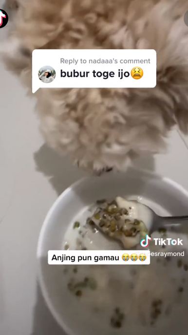 Bikin nyesek, niat beli bubur kacang hijau pria ini malah dapat isian tak terduga