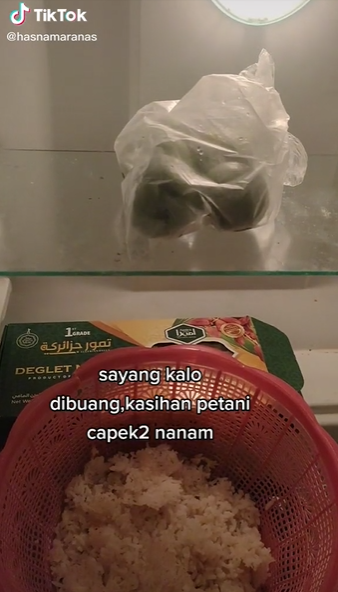 Trik menjemur nasi tanpa sinar matahari, tidak berjamur dan tetap kering saat hujan