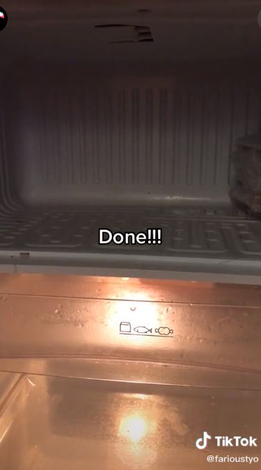 Cara jitu mencairkan bunga es di kulkas, cuma butuh 15 menit