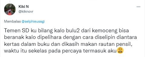 cuitan kocak 'kerandoman' saat masih bocil © 2022 berbagai sumber cuitan kocak 'kerandoman' saat masih bocil © 2022 berbagai sumber