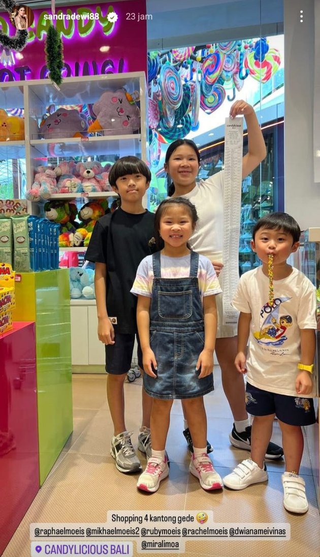 anak Sandra Dewi borong coklat 4 keranjang © Instagram/@sandradewi88
