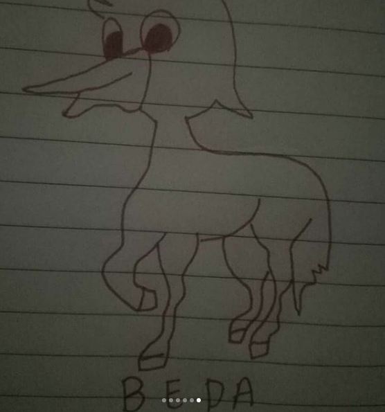 Gambar lucu gabungan dua hewan © 2023 brilio.net Gambar lucu gabungan dua hewan © 2023 brilio.net