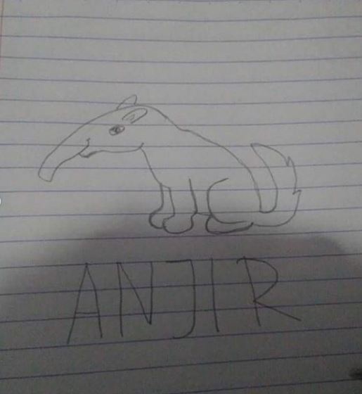 Gambar lucu gabungan dua hewan © 2023 brilio.net Gambar lucu gabungan dua hewan © 2023 brilio.net