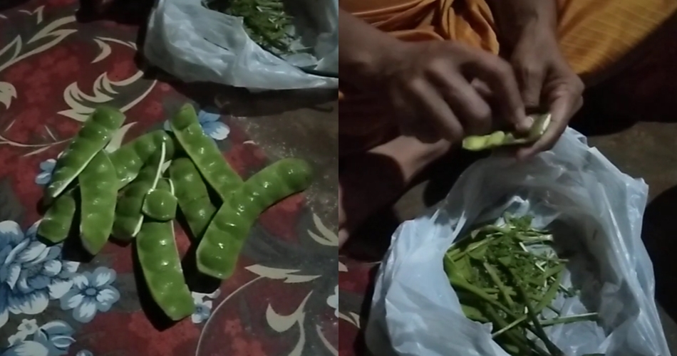 Cara ampuh mengolah petai sekaligus kulitnya sebelum digoreng agar tak pahit dan matang sempurna