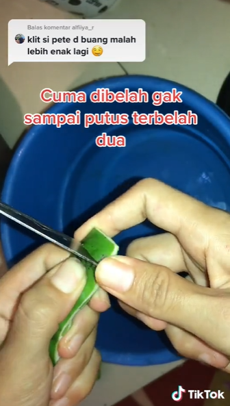 Cara ampuh mengolah petai sekaligus kulitnya sebelum digoreng agar tak pahit dan matang sempurna