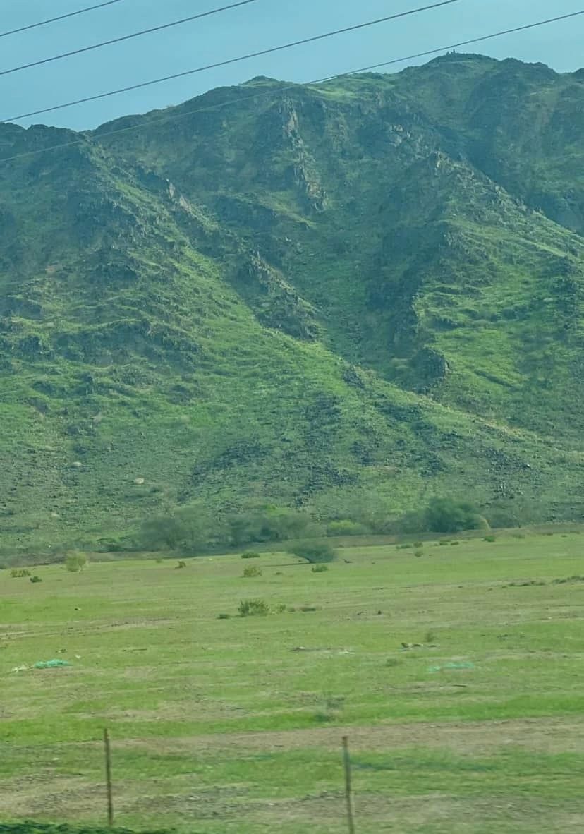 pegunungan hijau di mekkah © Berbagai sumber pegunungan hijau di mekkah © Berbagai sumber