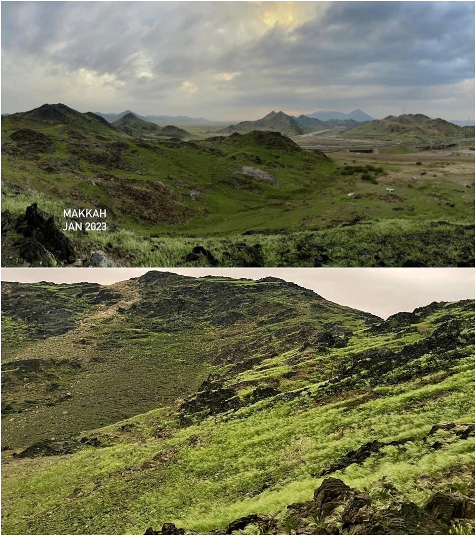 pegunungan hijau di mekkah © Berbagai sumber pegunungan hijau di mekkah © Berbagai sumber