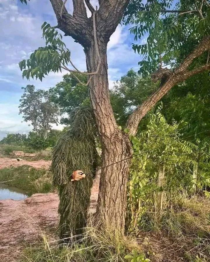 keanehan yang cuma bisa dipahami orang jeli © berbagai sumber