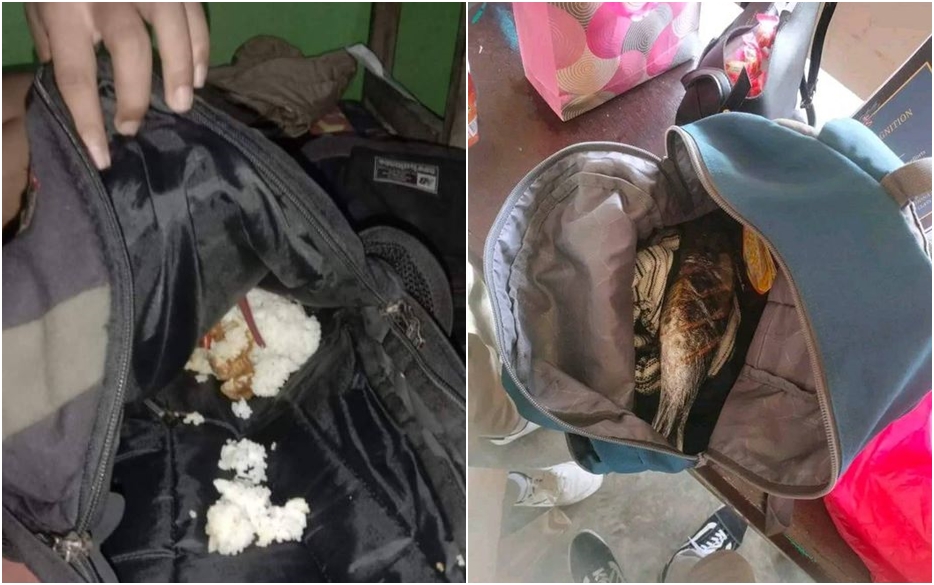 potret ujung-ujungnya apes © berbagai sumber potret ujung-ujungnya apes © berbagai sumber