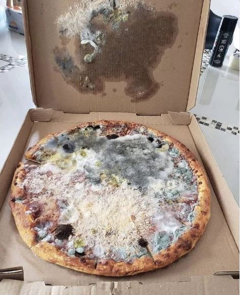 potret ujung-ujungnya apes © berbagai sumber