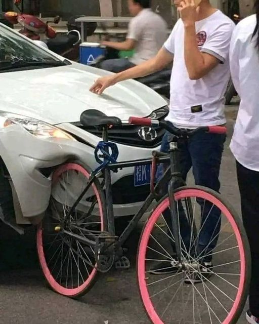 potret ujung-ujungnya apes © berbagai sumber