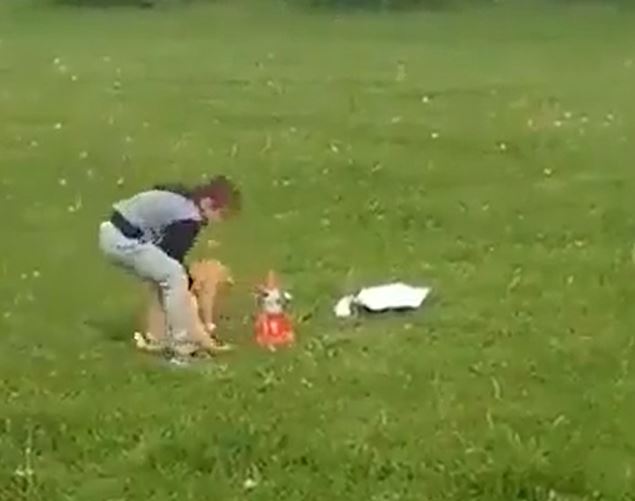 Momen anak selamatkan kucing Twitter