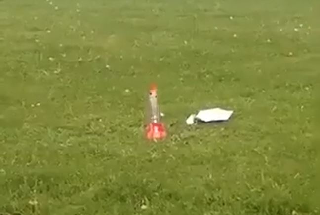 Momen anak selamatkan kucing Twitter