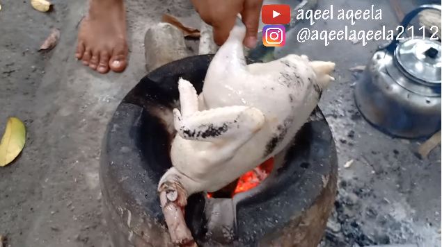 Tanpa alat khusus, ini cara cepat mencabuti bulu ayam kampung