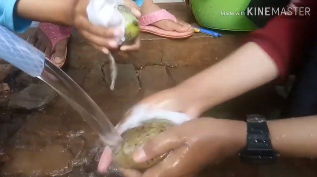 Bukan pakai minyak, cara simpel hilangkan getah pada mangga ini bikin tampilan buah ciamik