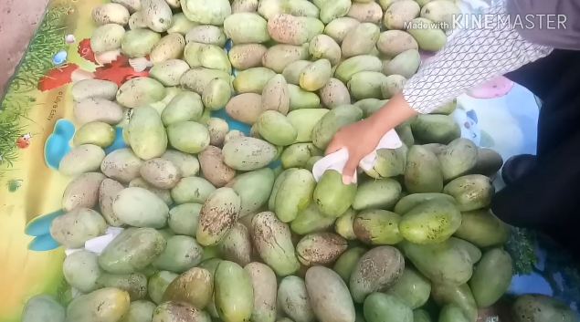 Bukan pakai minyak, cara simpel hilangkan getah pada mangga ini bikin tampilan buah ciamik