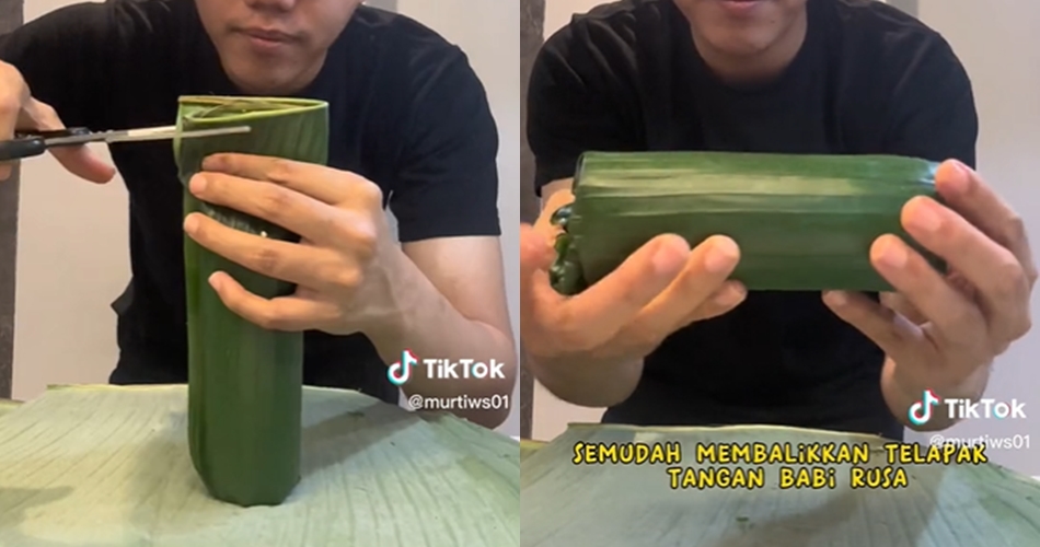 Trik simpel membungkus nasi bakar pakai daun pisang, rapi dan kokoh tanpa lidi