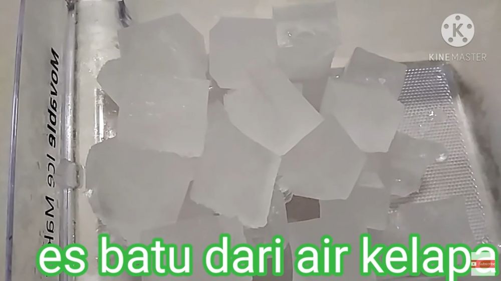 Trik menyimpan air kelapa ini bikin nggak cepat basi sampai berbulan-bulan