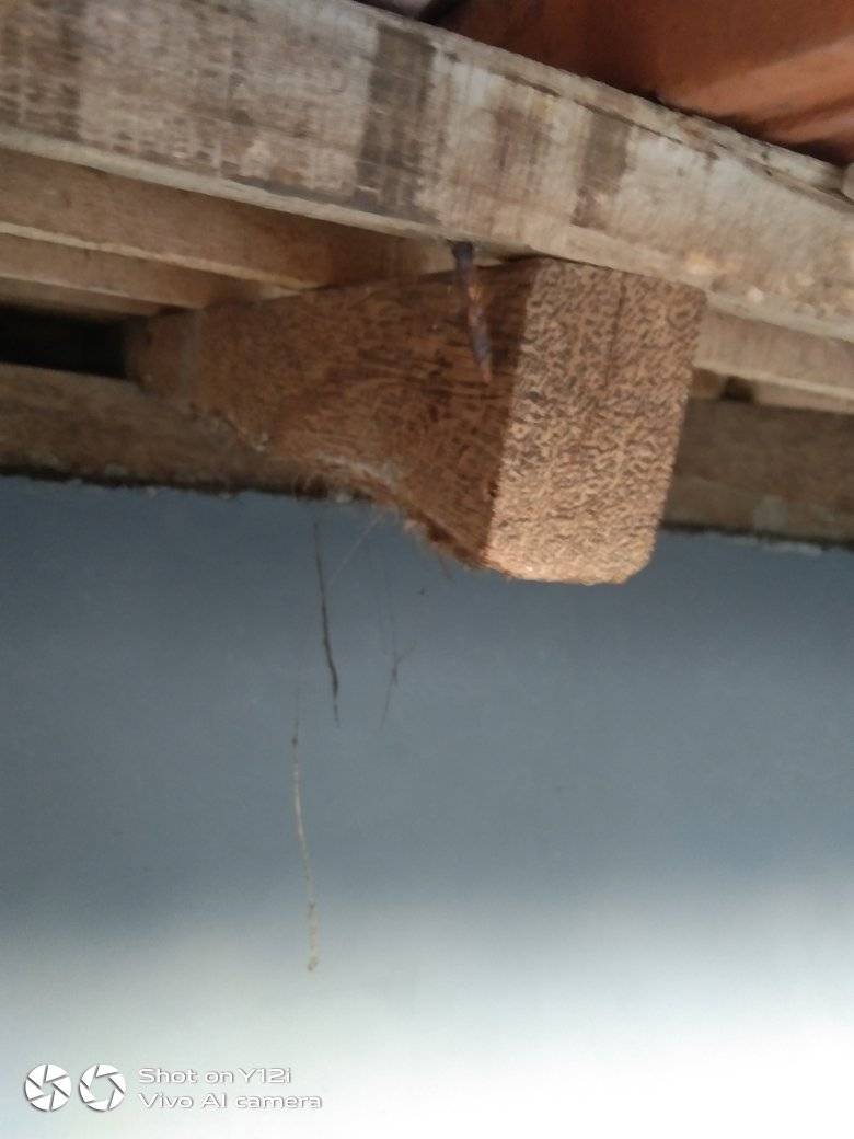 potret sia sia karena kurang fokus © Berbagai sumber