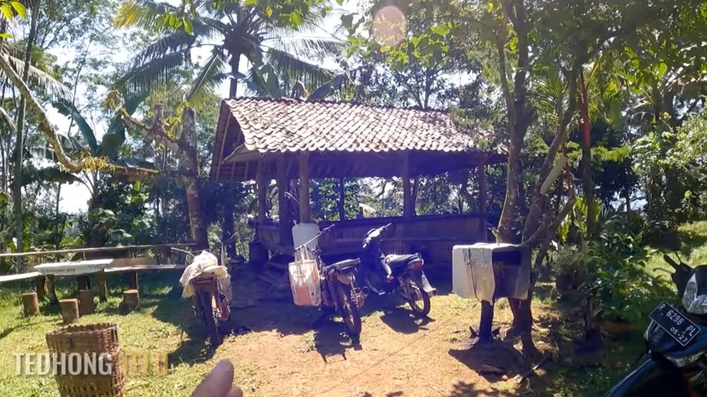 penisunan PNS tinggal di pinggir hutan © YouTube/TEDHONG TELU