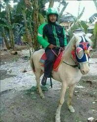 orang mendadak pakai kostum koboi © berbagai sumber