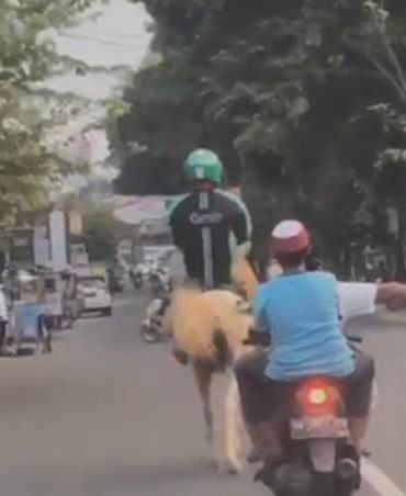 orang mendadak pakai kostum koboi © berbagai sumber orang mendadak pakai kostum koboi © berbagai sumber