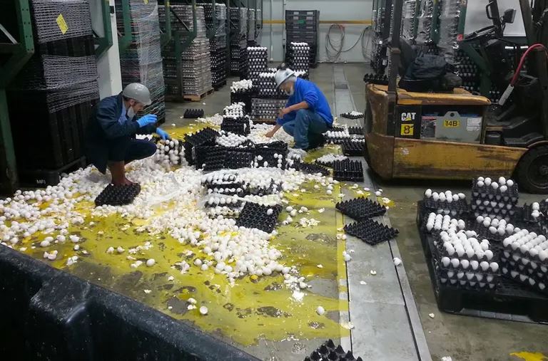 momen apes benda pecah © Berbagai sumber