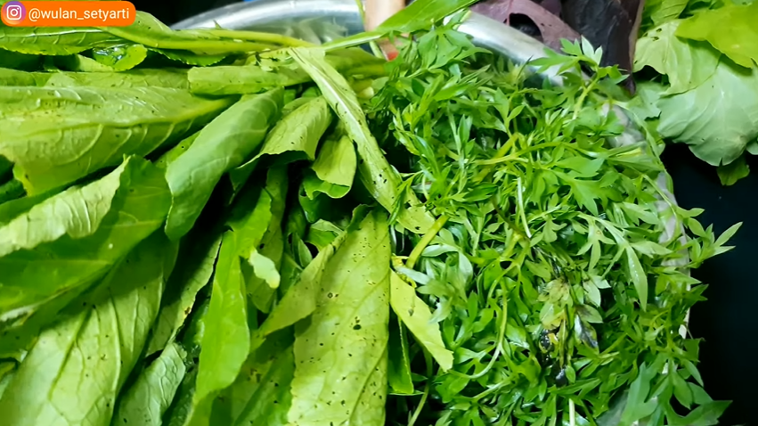 Tak perlu direbus, ini trik mencuci sayur dan buah agar terbebas dari lilin dan pestisida